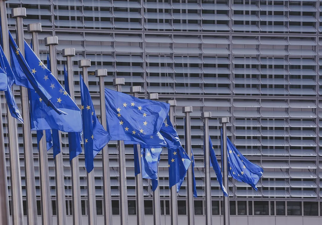 Elections UE (drapeaux)
