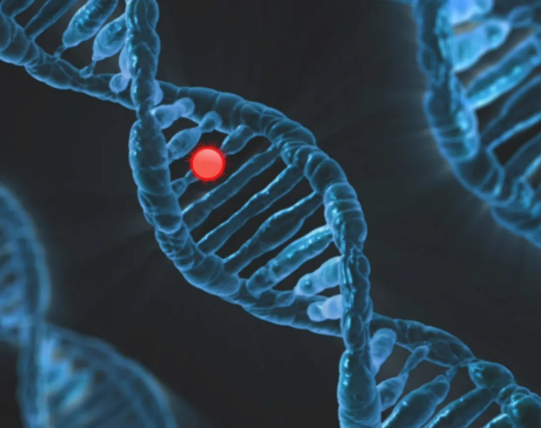 L'étude des chromosomes via l'intelligence artificielle pour détecter des cancers