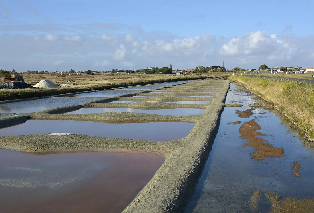 Marais salants