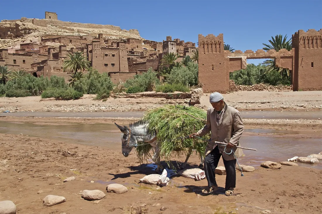 Maroc - La kasbah urbain