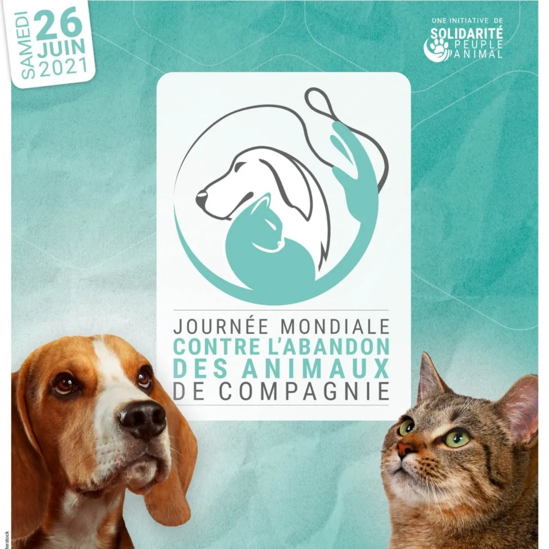 Journée mondiale contre l'abandon des animaux des compagnie