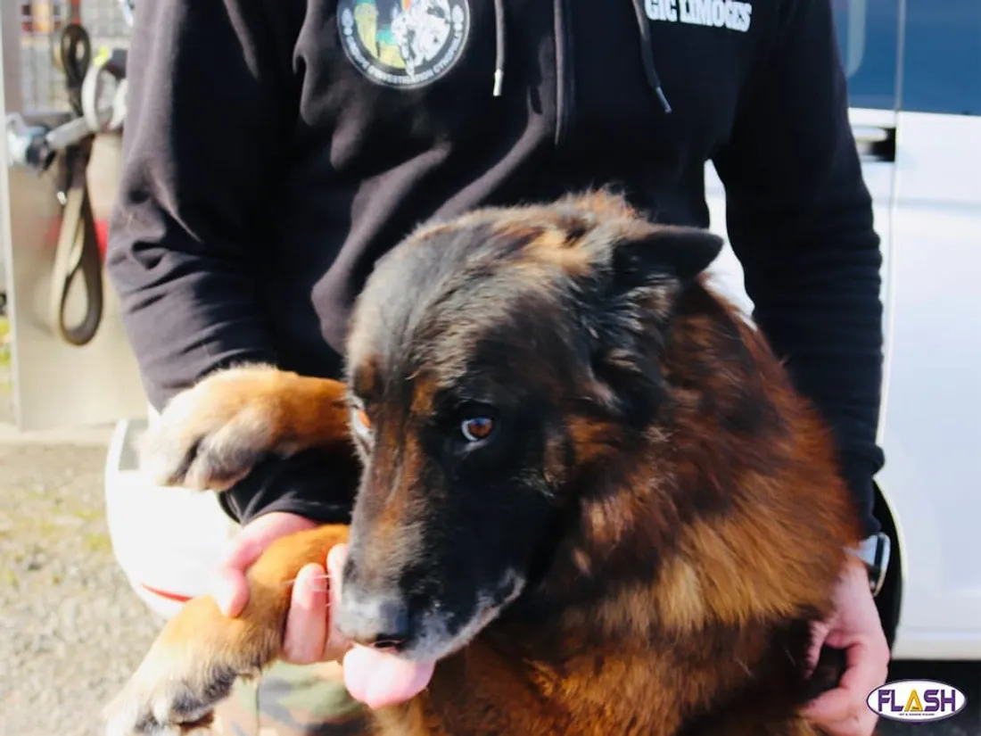 Gendarmerie 23 février 2025