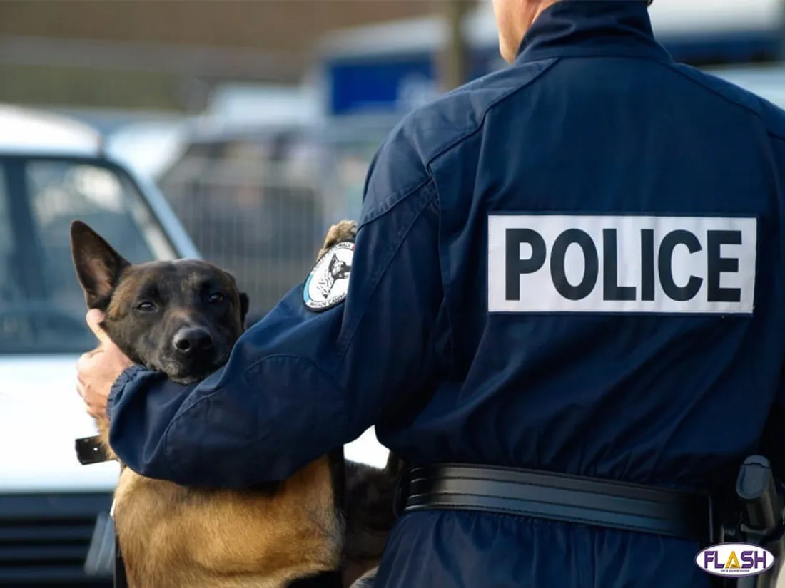 Police 23 juillet 2025 conducteur 14 ans course-pousuite 150 km/h Limoges Chaptelat