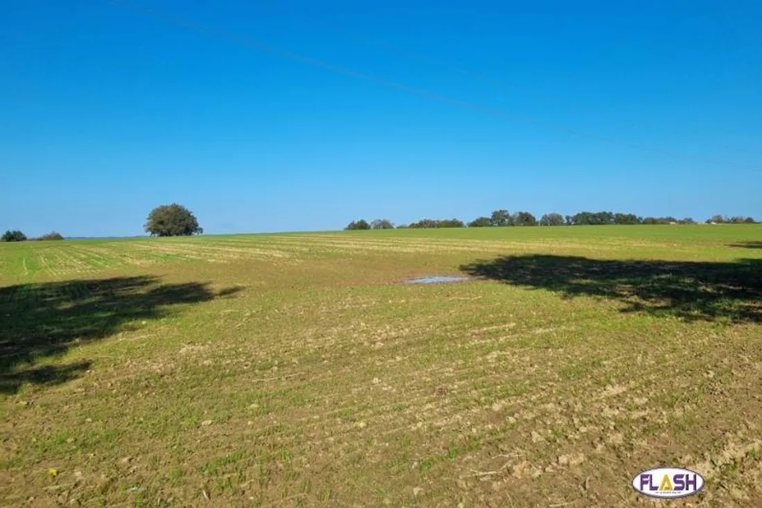 Projet de porcherie industrielle à Vicq-sur-Breuilh