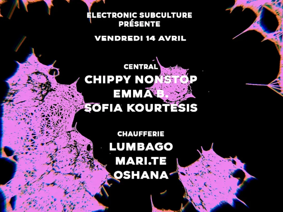 Electronic Subculture