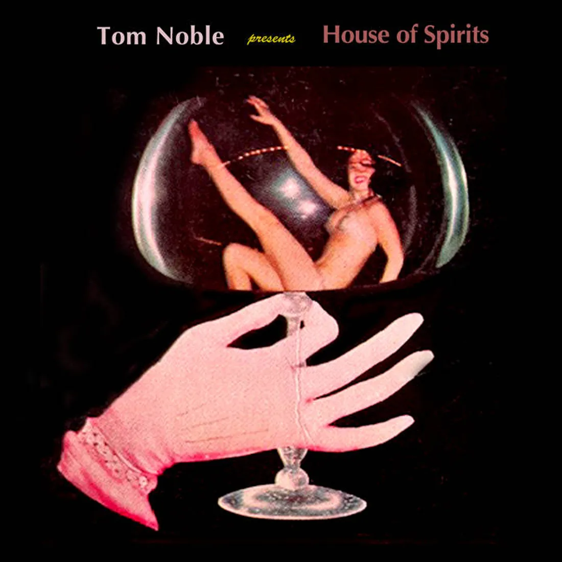 TOM NOBLE