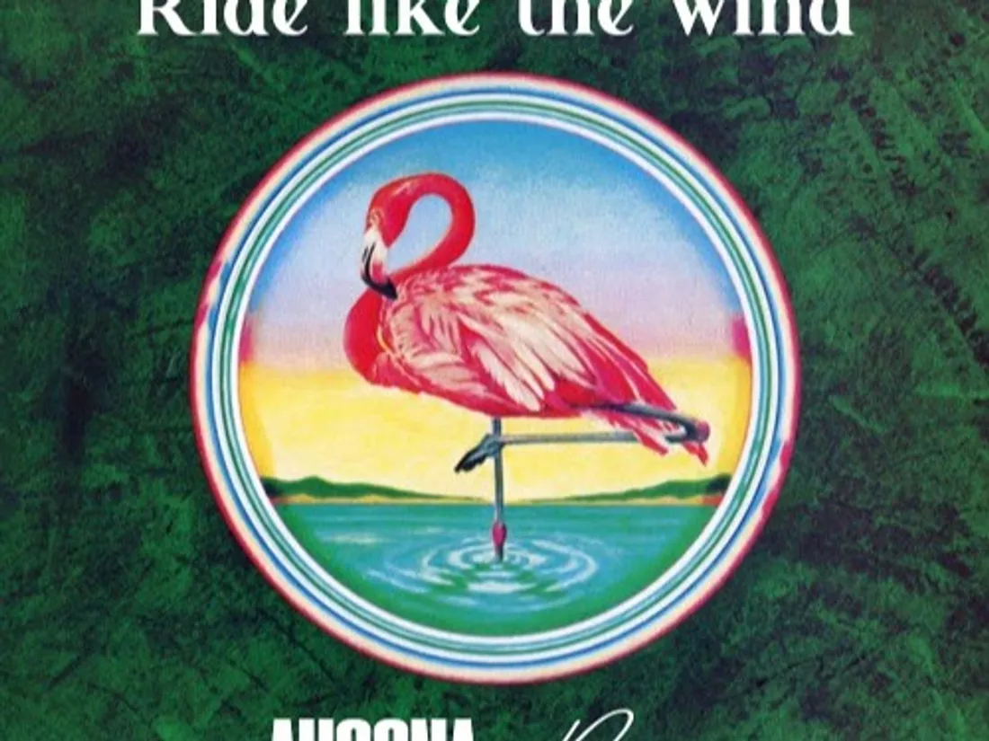Christopher Cross - Ride like the wind (Ahoona cover remix)