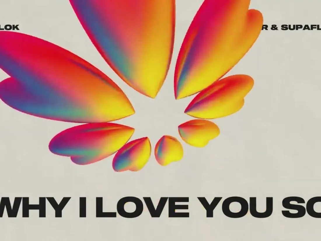 Alok, James Hurr & Supafly - Why I Love You So