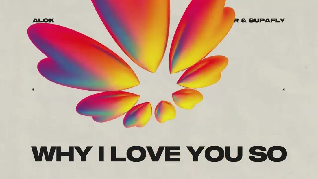 Alok, James Hurr & Supafly - Why I Love You So