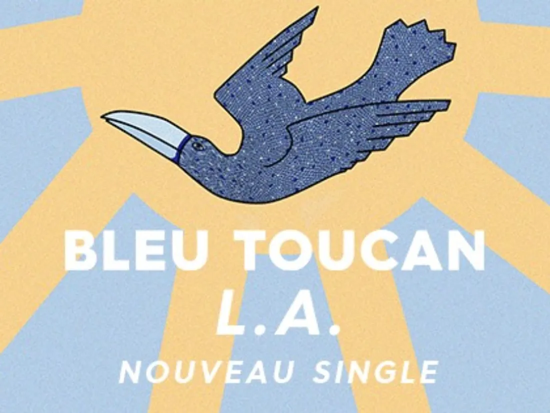 Bleu Toucan - L.A