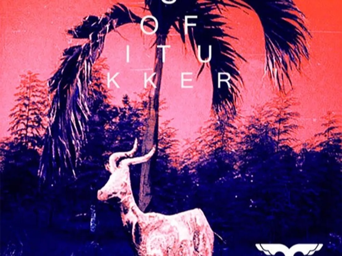 Carl Cox remixe 'Drinkee' de Sofi Tukker