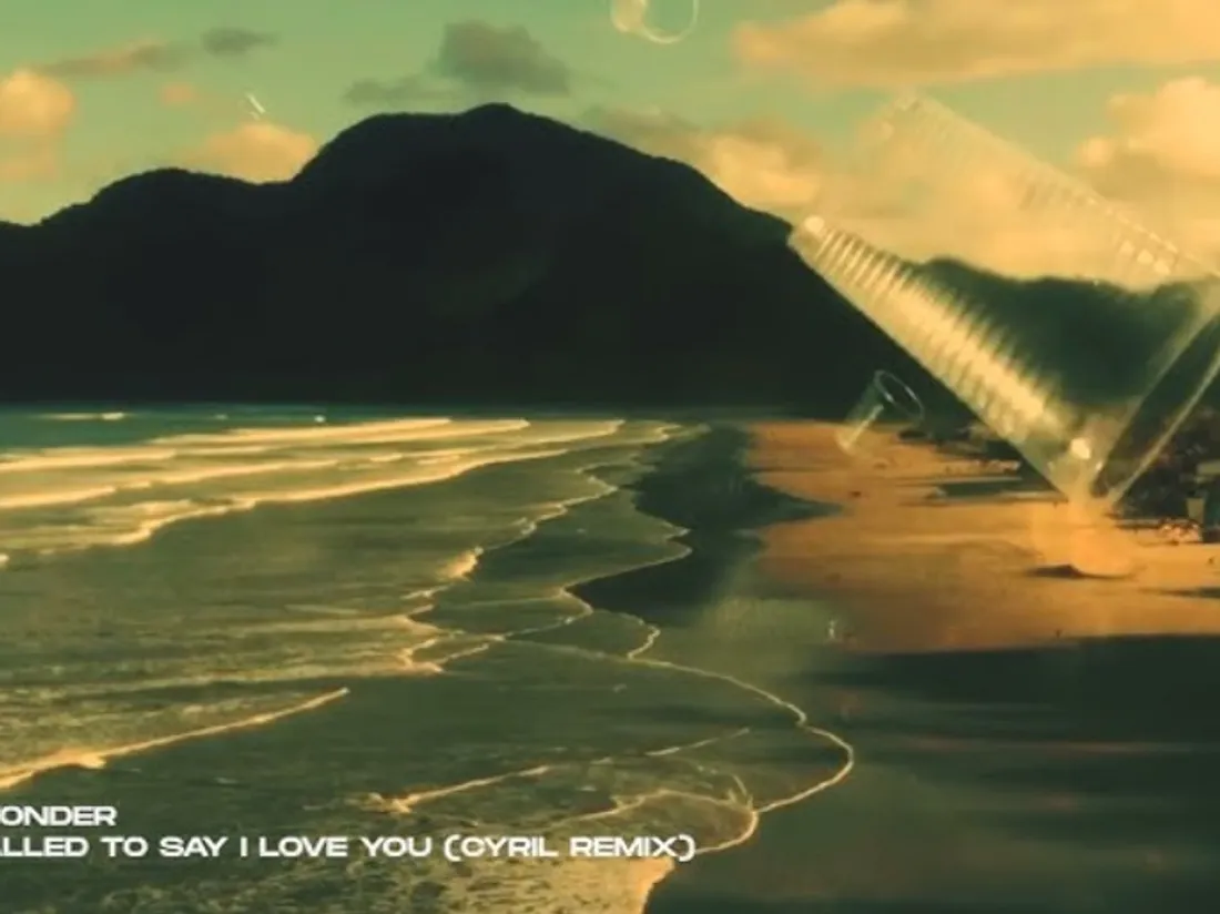 Stevie Wonder - I Just Called To Say I Love You (CYRIL Remix)
