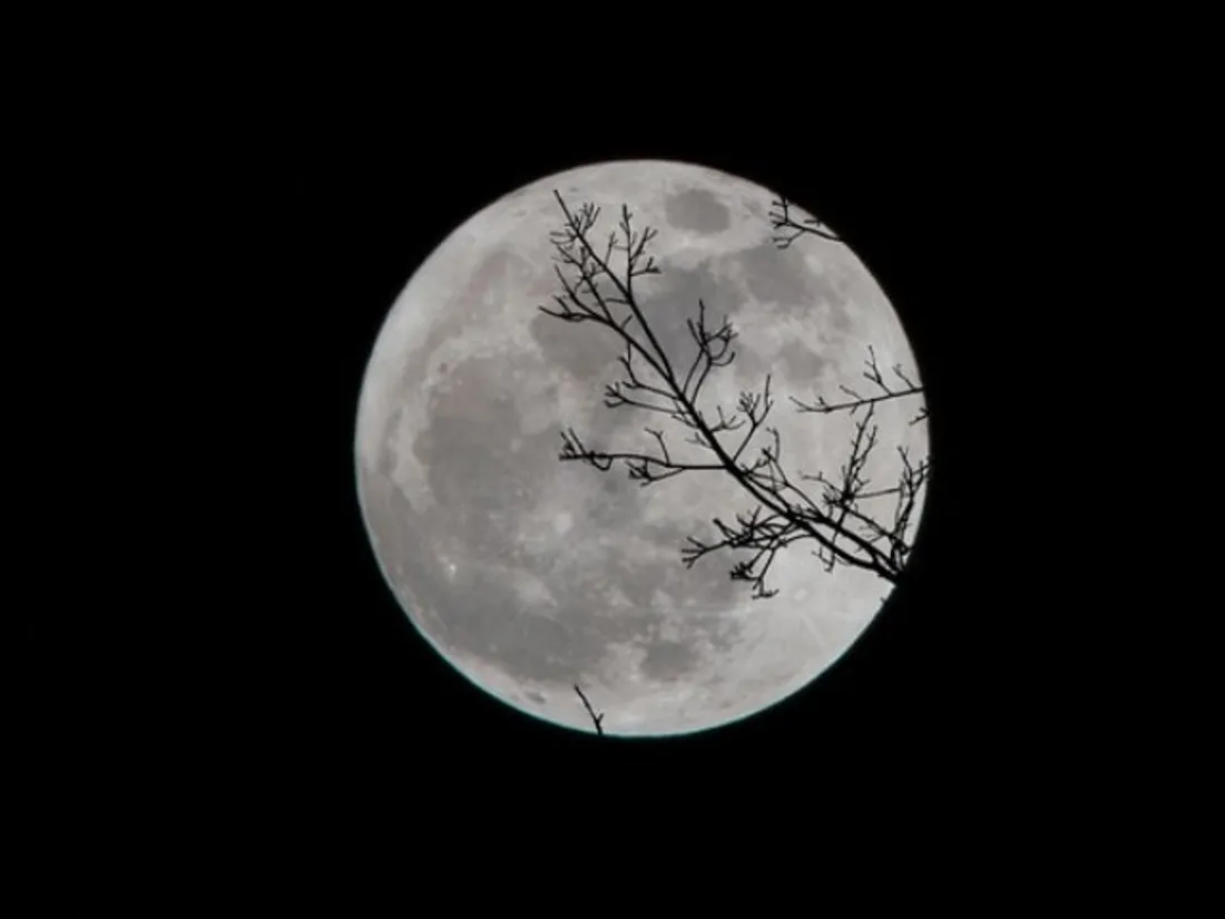 Lune