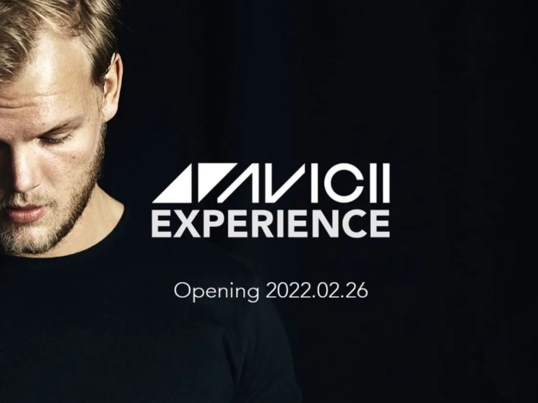 Avicii Experience