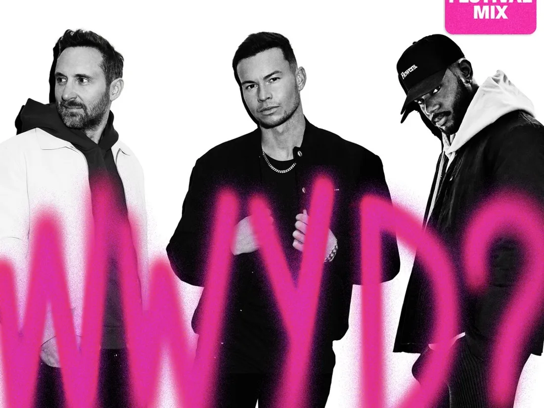 David Guetta remixe What Would You Do