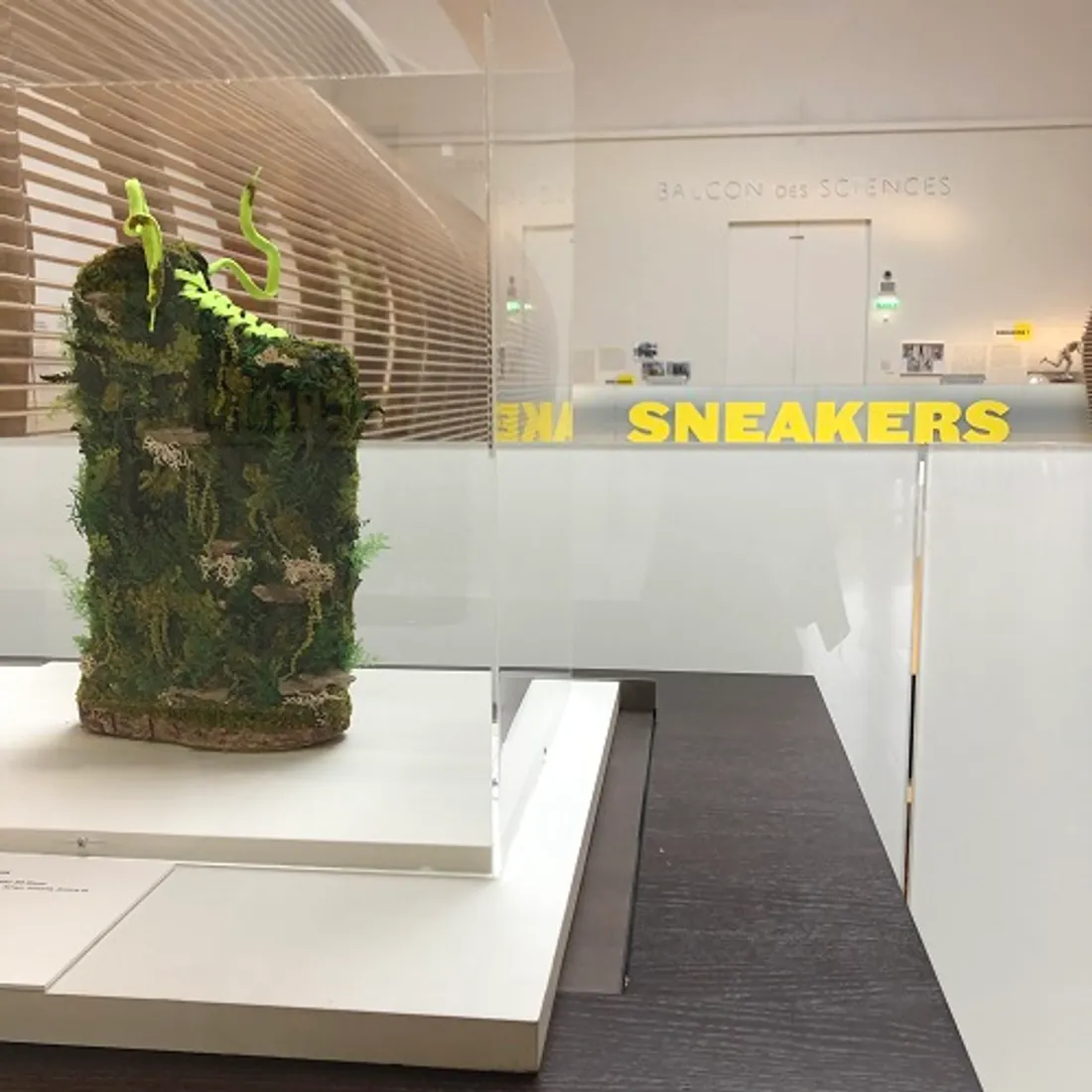 L'expo "Sneakers, les Baskets entre au Musée"