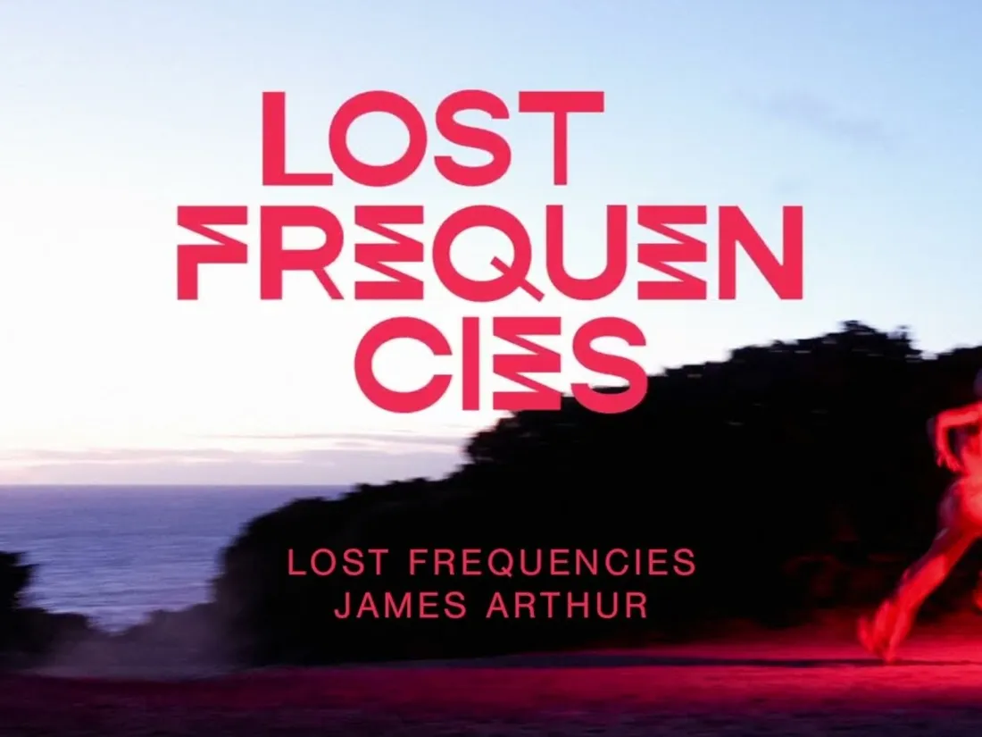 Lost Frequencies - Questions