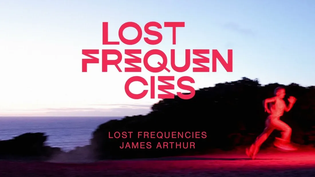 Lost Frequencies - Questions