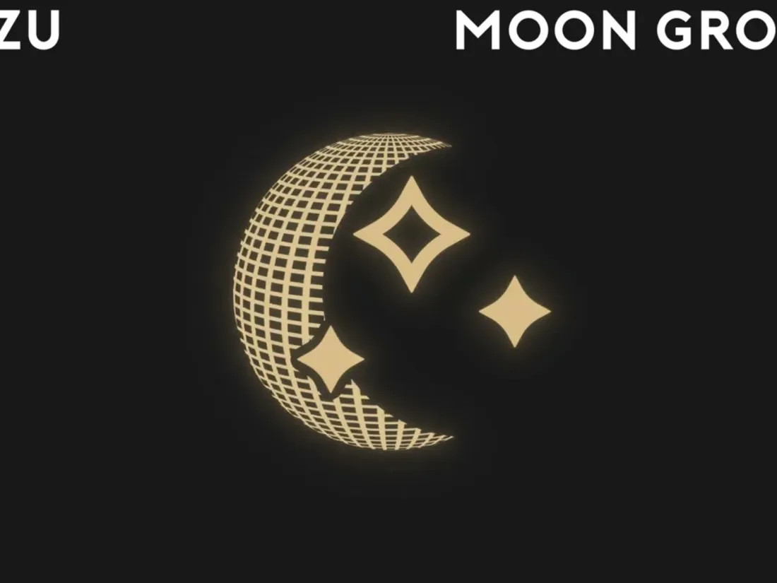 Noizu - Moon Groove