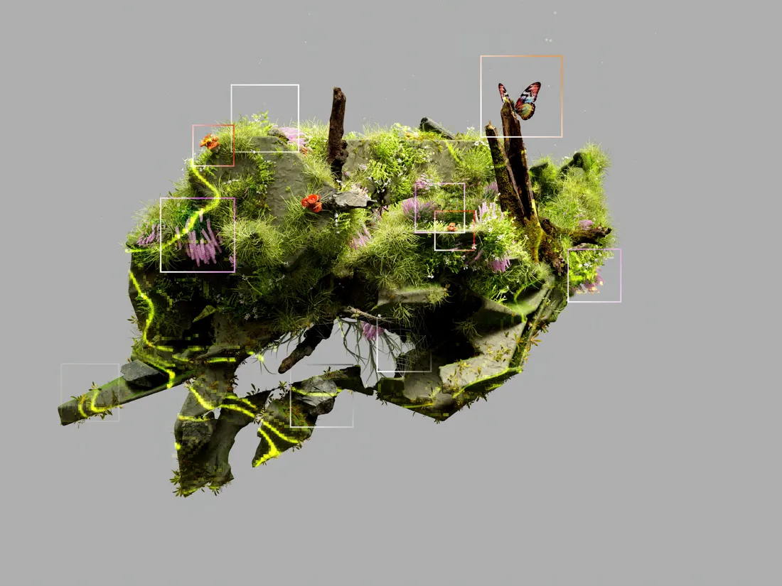 Image d'illustration