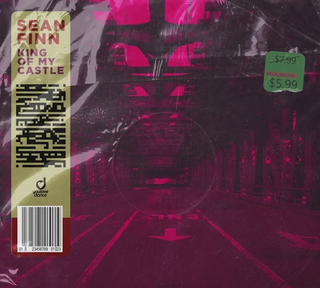 Sean Finn - King Of My Castle
