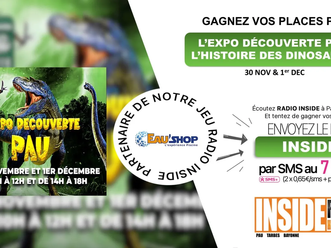 expo decouverte