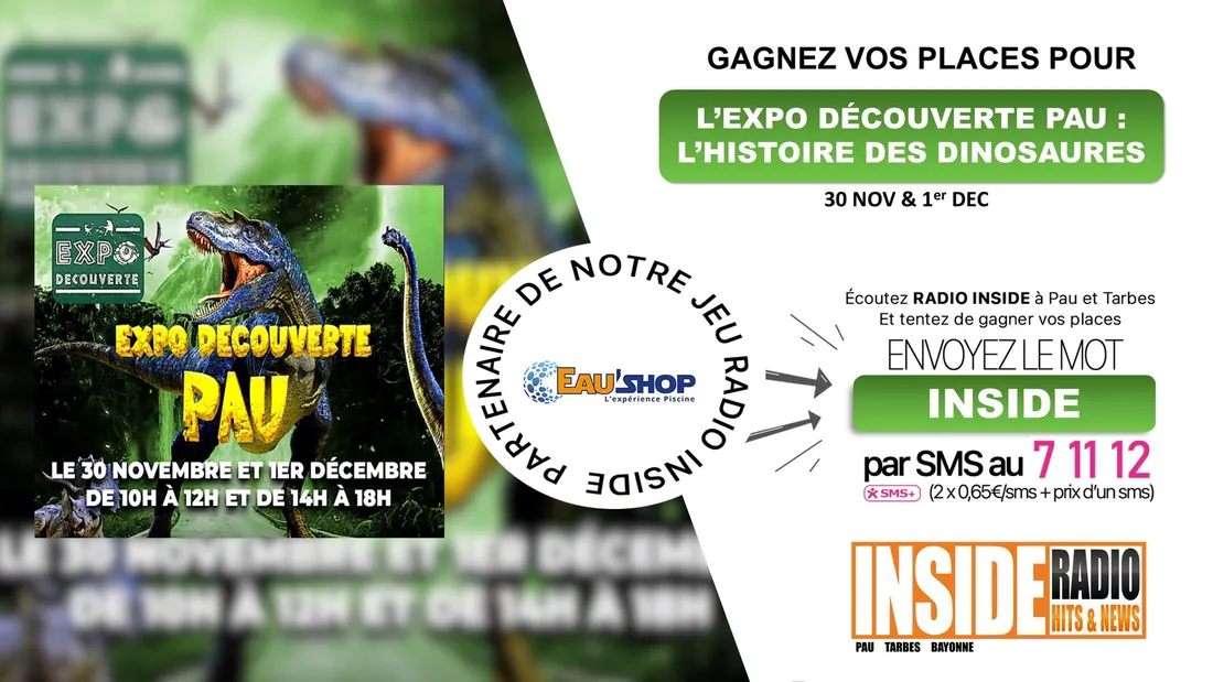 expo decouverte