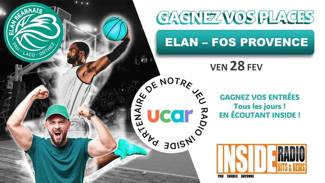 elan bearnais