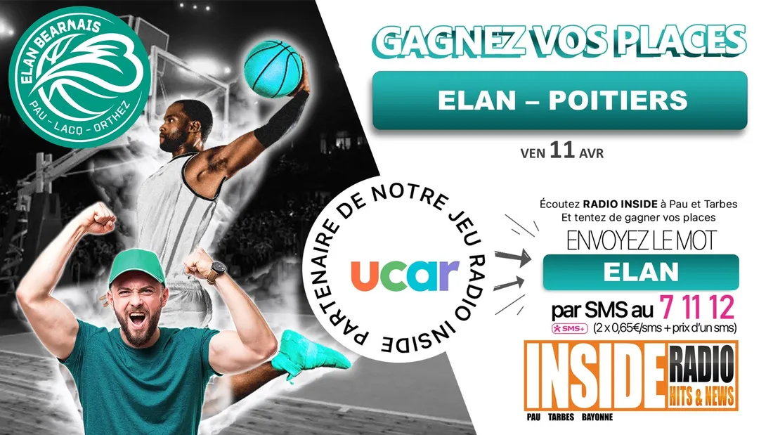 elan bearnais