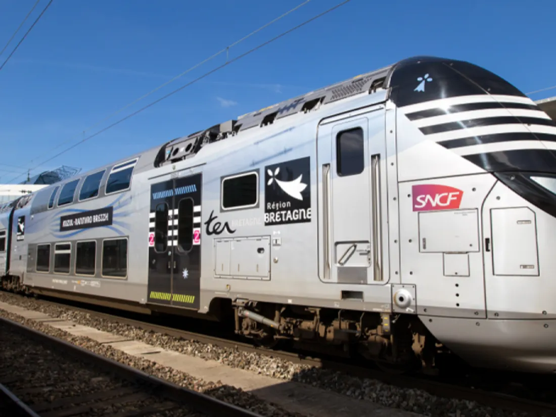 ter