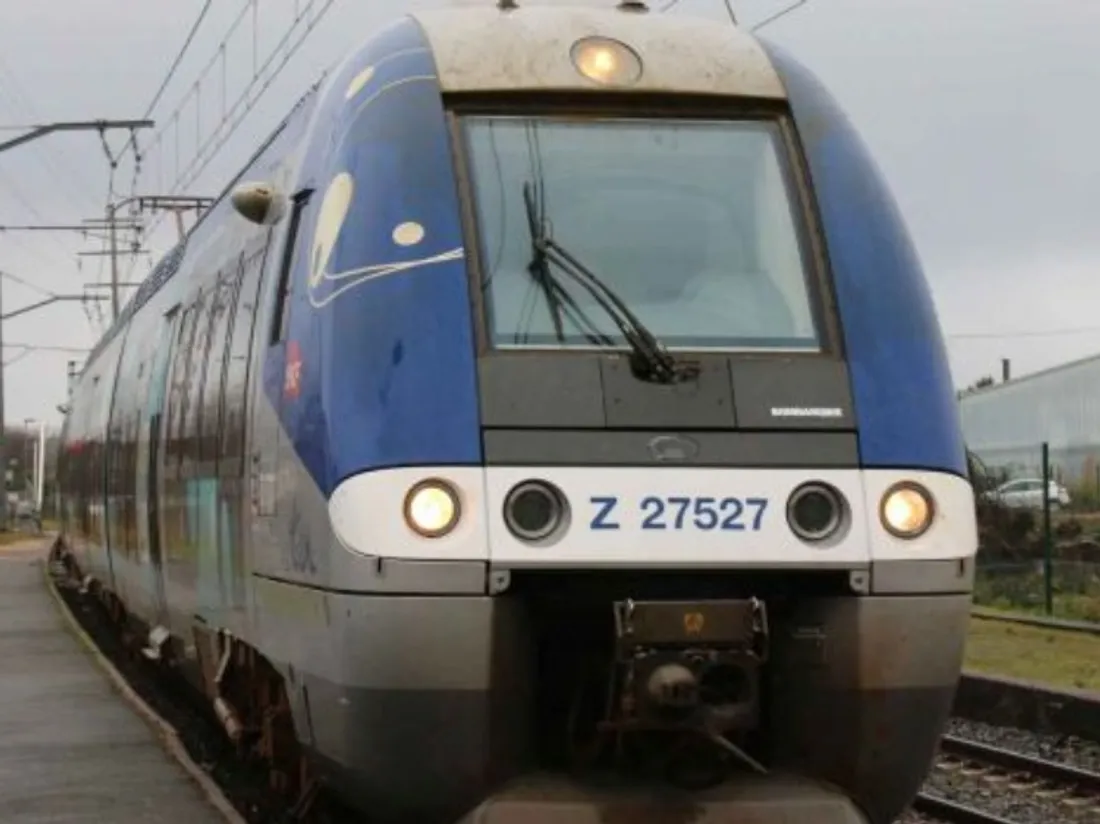 ter