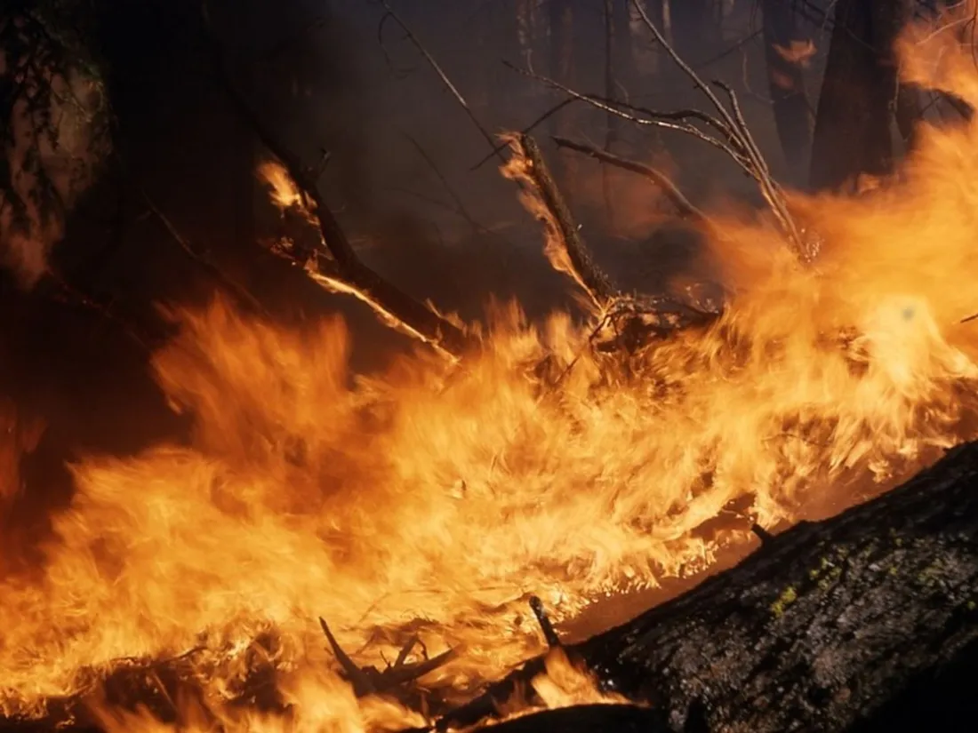 incendies 