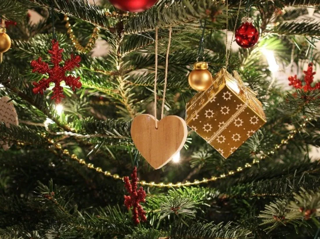 Sapin de Noël - Photo d'illustration