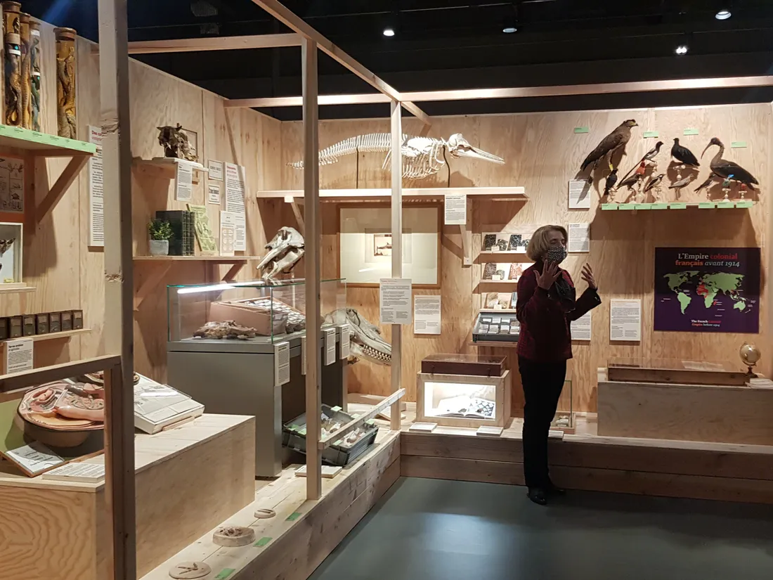 Museum d'histoire naturelle 