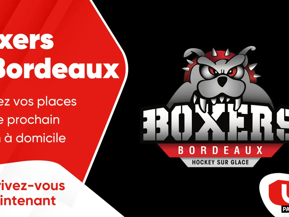 Boxers de Bordeaux - Saison 2023/2024