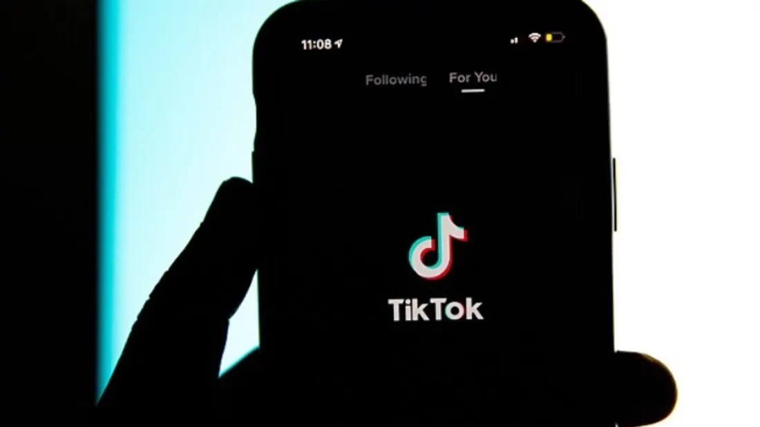 L'application TikTok avait proposé un service controversé.