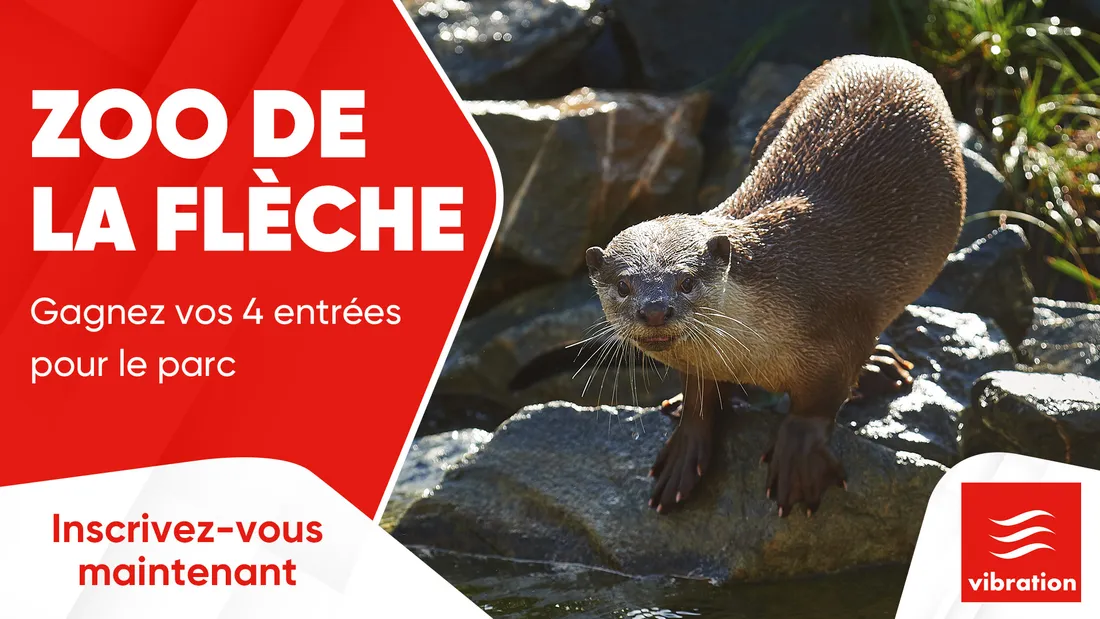 Zoo de la Flèche : gagnez vos 4 entrées pour le parc