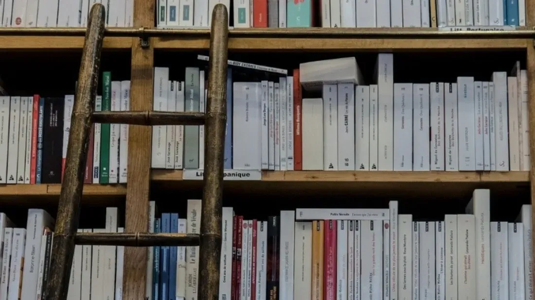 En 2022, 142 librairies ont ouvert en France.
