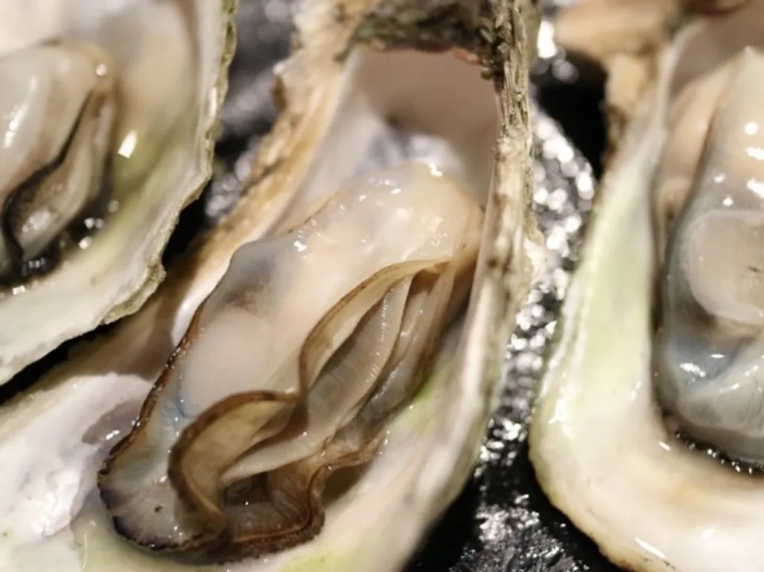 Les vols chez les producteurs d'huîtres sont en forte hausse sur le Bassin d'Arcachon
