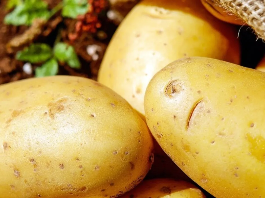 6 millions de tonnes de pommes de terre sont produites chaque année en France.
