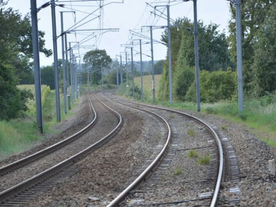 Les premiers trains pour voyageurs sont attendus en juin 2022