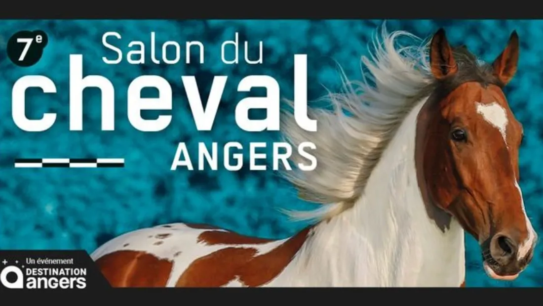 Affiche du Salon du Cheval à Angers