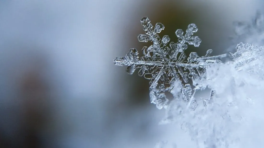 Un flocon de neige.