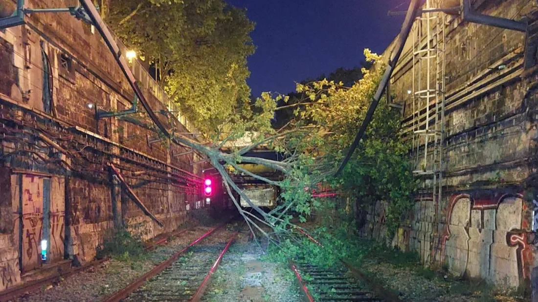 Chutes d’arbres : le RER C est interrompu pendant 24H dans Paris