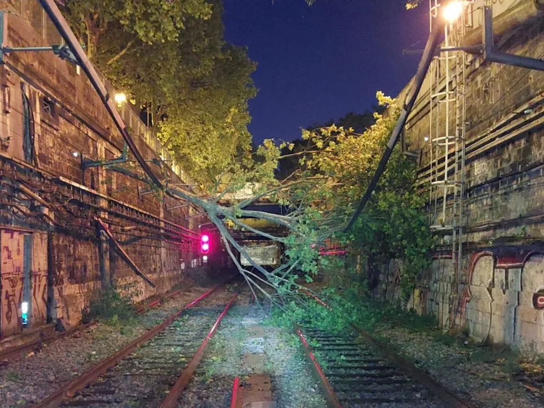 Chutes d’arbres : le RER C est interrompu pendant 24H dans Paris