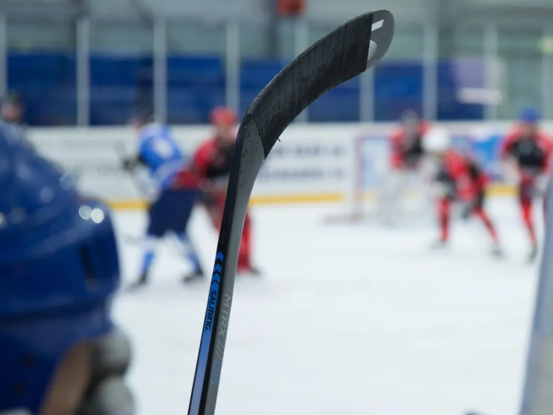 Les boxers de Bordeaux renversent les tenants du titre