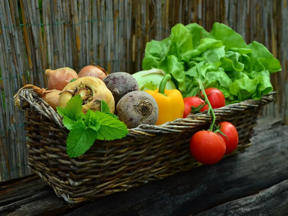 Panier de légumes - Photo d'illustration