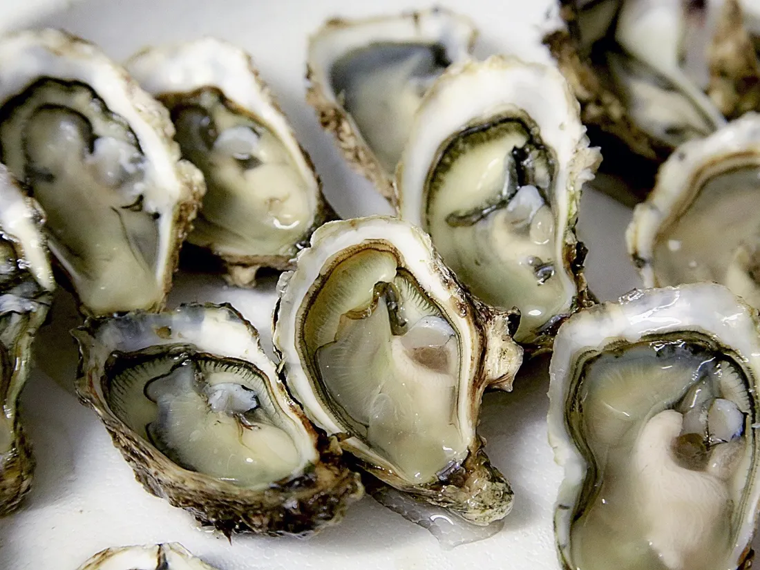 Les huîtres de Bassin d'Arcachon ont été contaminées par le norovirus de la gastro-entérite.