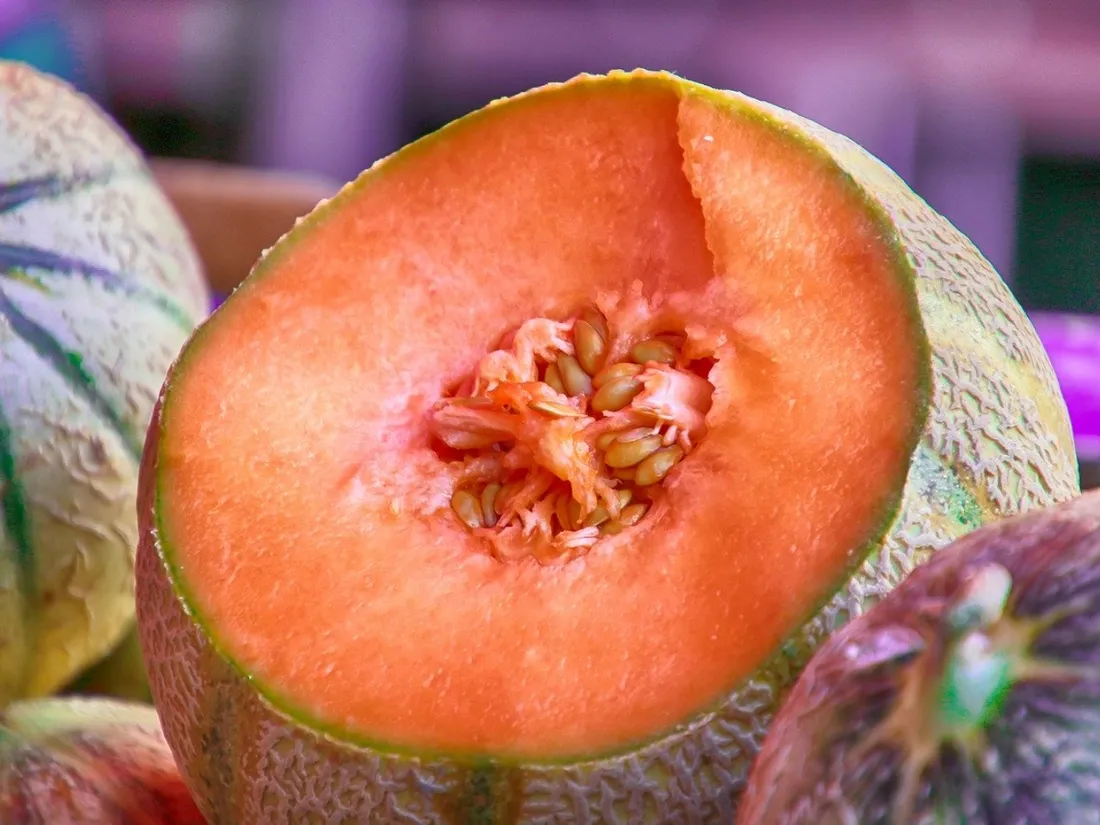 Le melon est la star de l'été