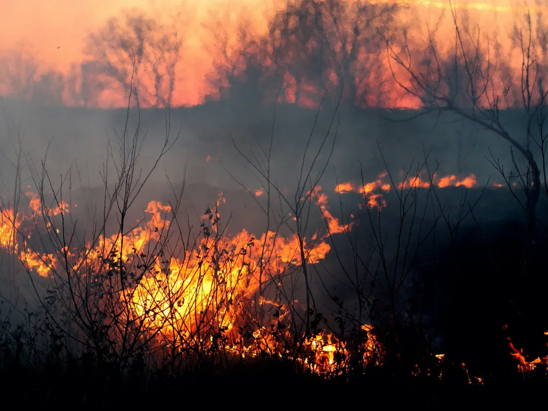 Incendie - image d'illustration
